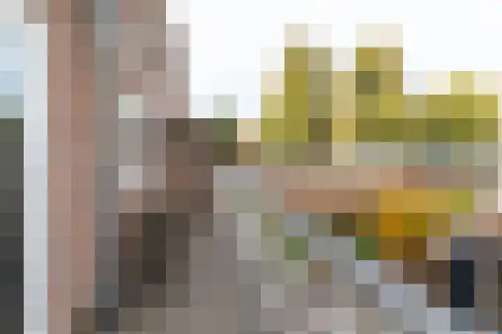 Orchideestraat 43 Hilversum thumbnail 17