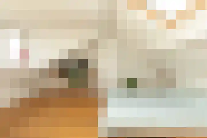 Orchideestraat 43 Hilversum thumbnail 26