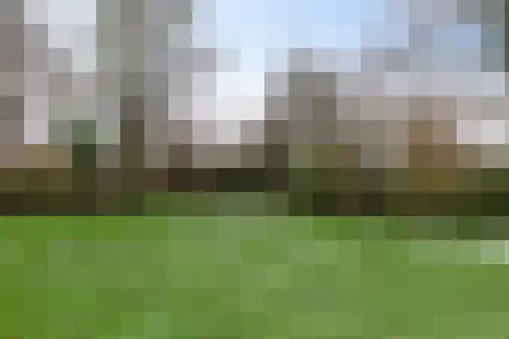 Orchideestraat 67 Groningen thumbnail 30