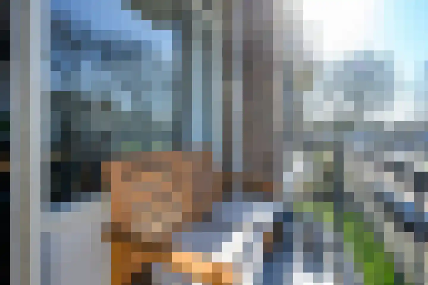 Orchideestraat 8 B Spijkenisse thumbnail 14