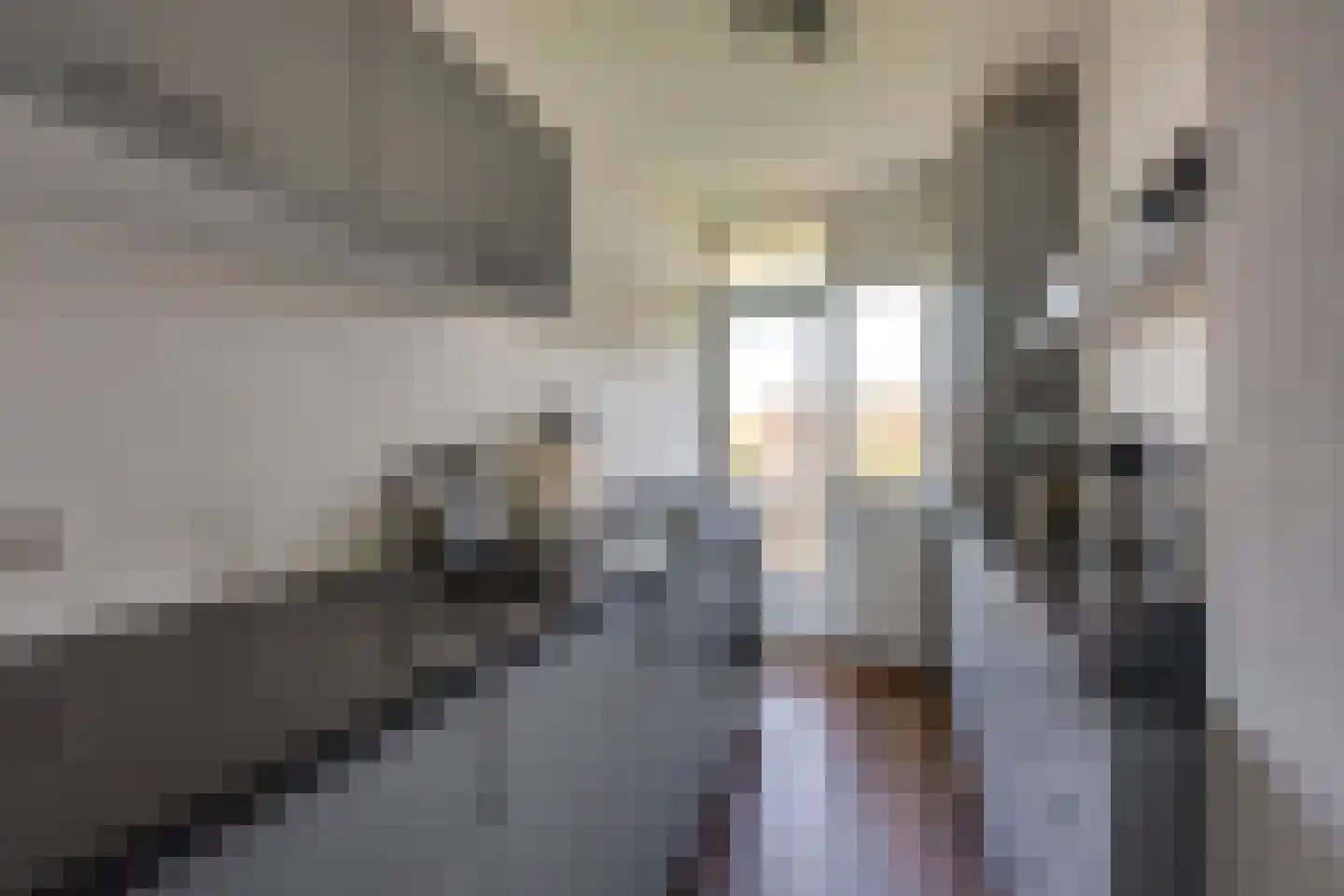 Orchideestraat 8 B Spijkenisse thumbnail 15