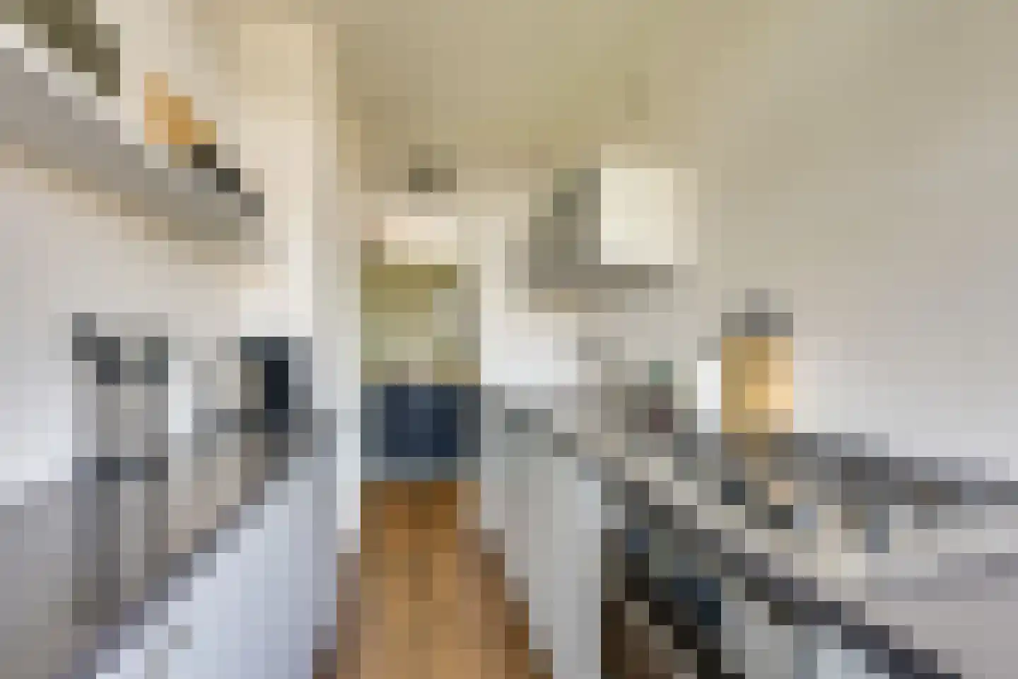 Orchideestraat 8 B Spijkenisse thumbnail 16