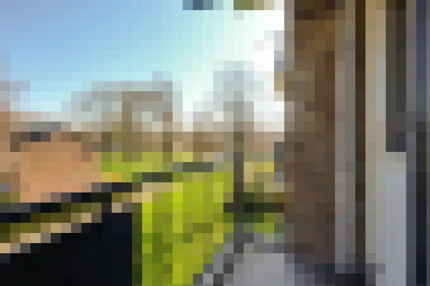 Orchideestraat 8 B Spijkenisse thumbnail 17
