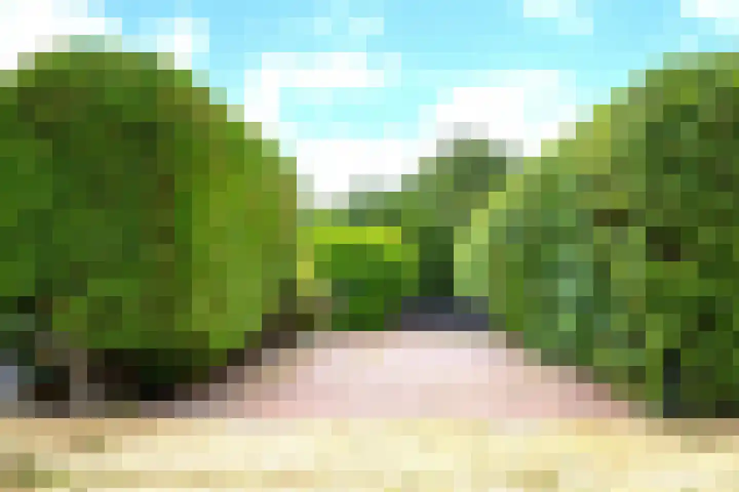 Orchis 25 Julianadorp thumbnail 31