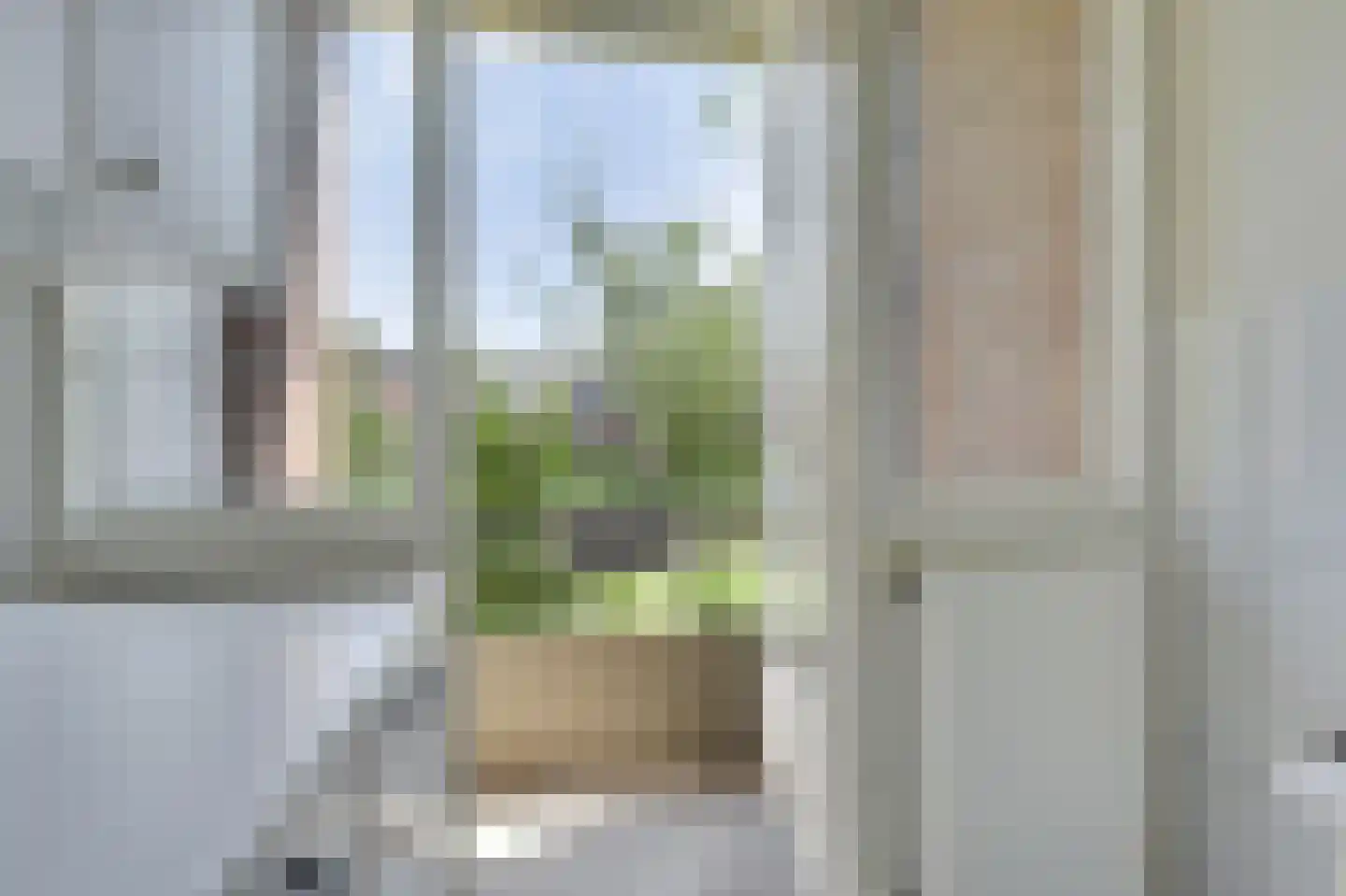 Orchislaan 11 2 Arnhem thumbnail 10