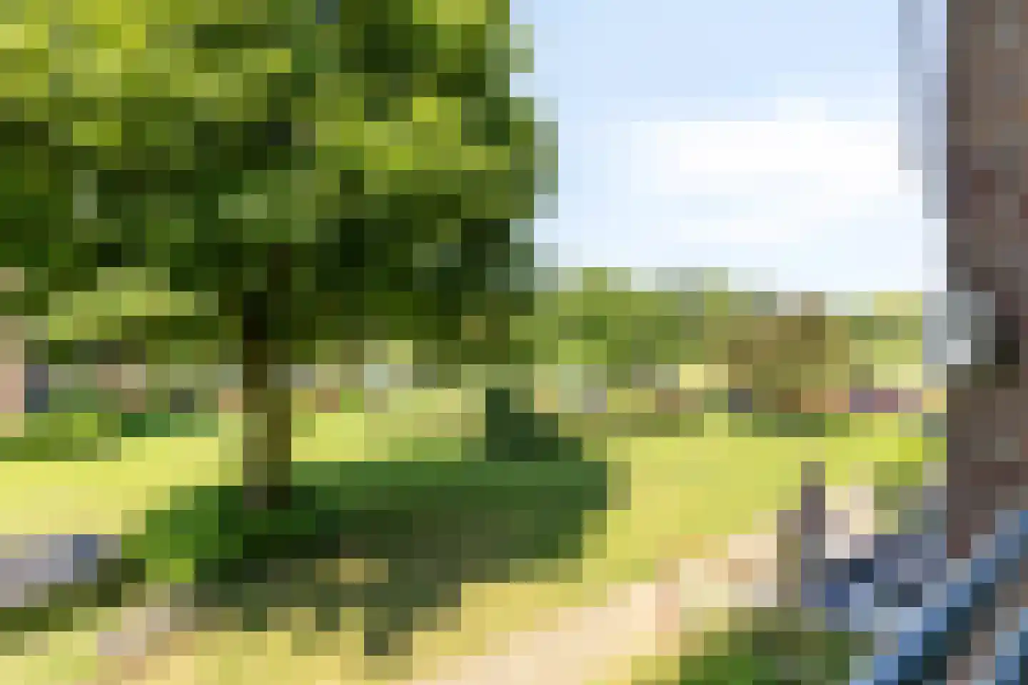 Orchislaan 11 2 Arnhem thumbnail 5