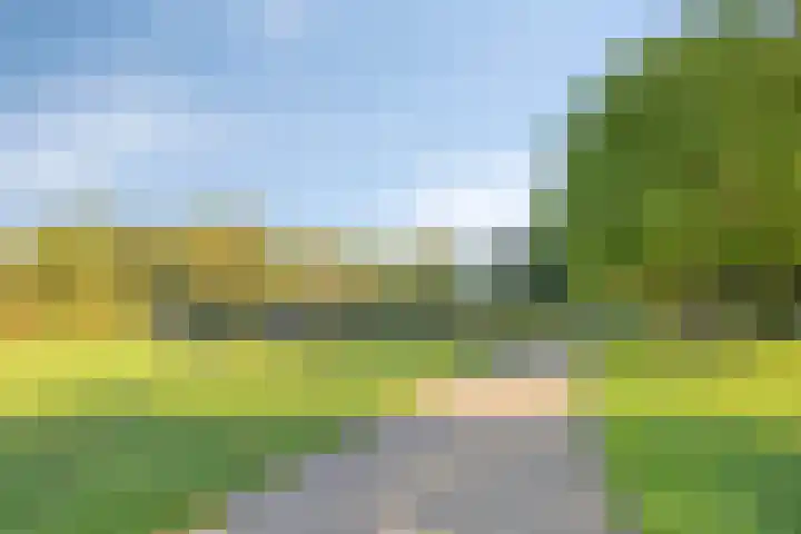 Orchislaan 12 3 Arnhem thumbnail 24