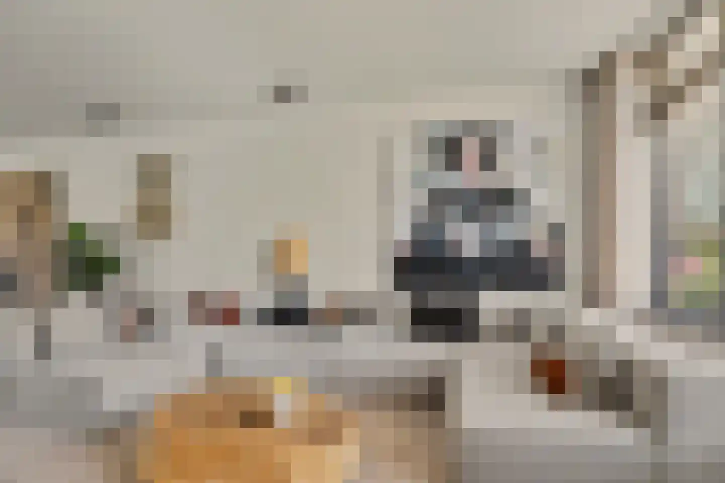 Orchislaan 21 Reeuwijk thumbnail 15