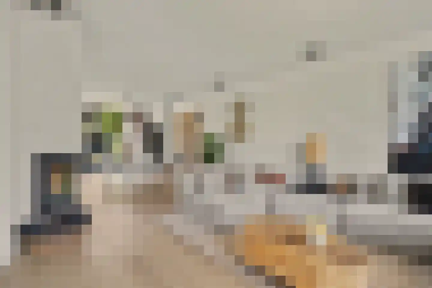 Orchislaan 21 Reeuwijk thumbnail 17