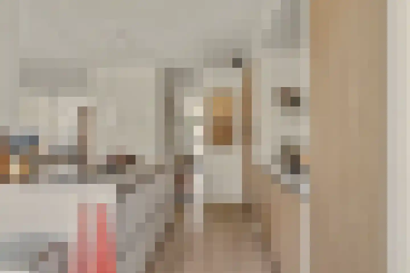 Orchislaan 21 Reeuwijk thumbnail 20