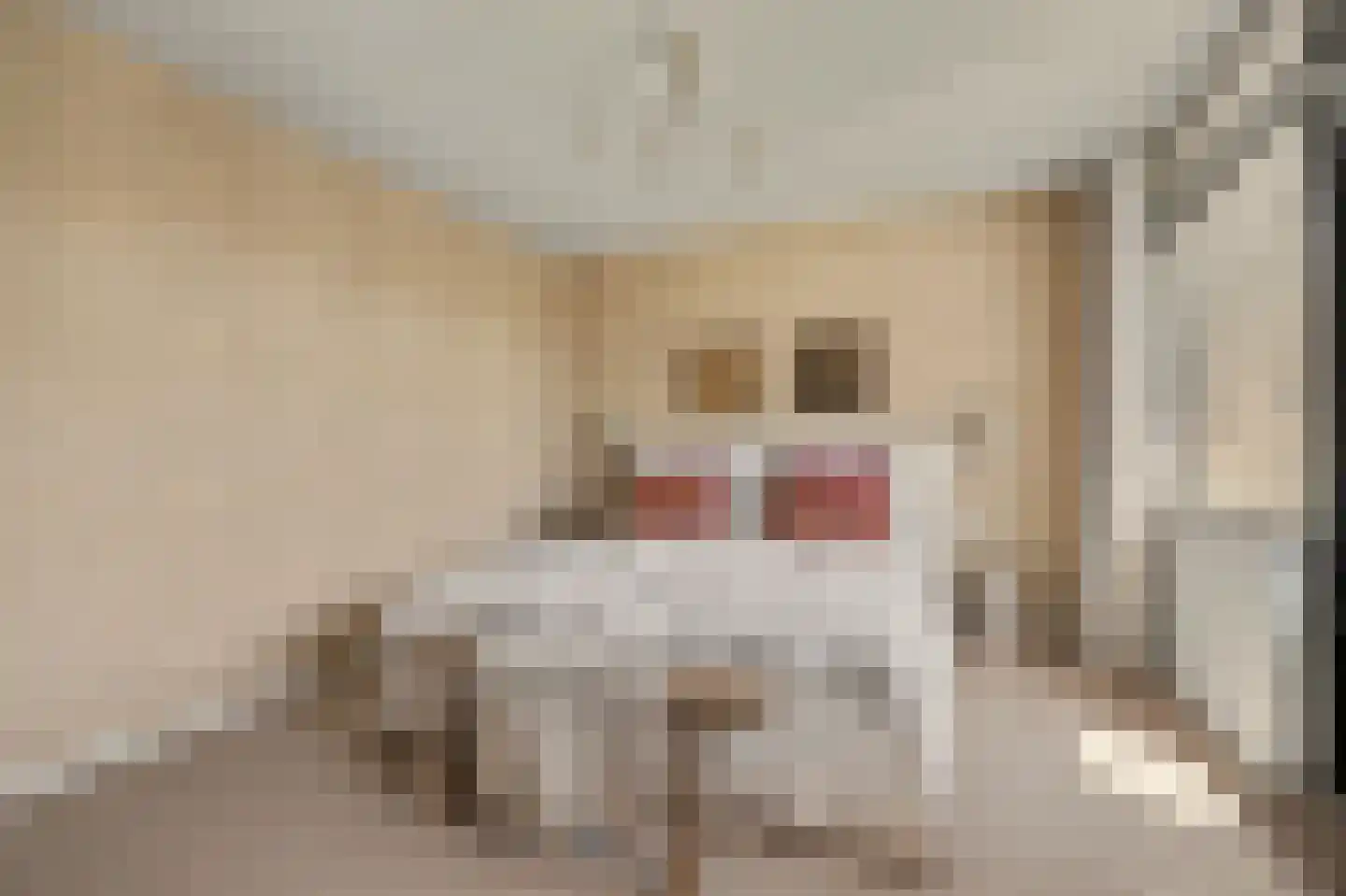 Orchislaan 21 Reeuwijk thumbnail 31