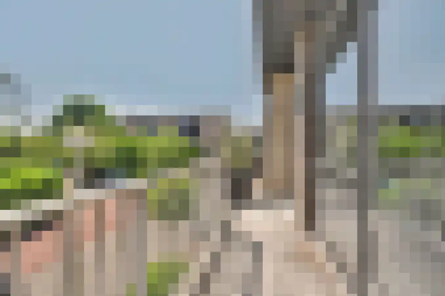 Orchislaan 21 Reeuwijk thumbnail 33