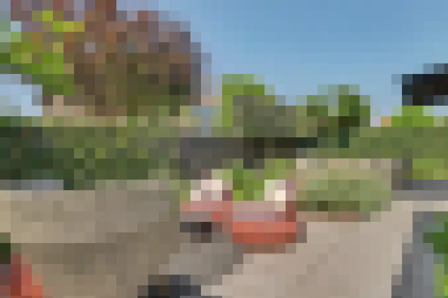 Orchislaan 21 Reeuwijk thumbnail 51