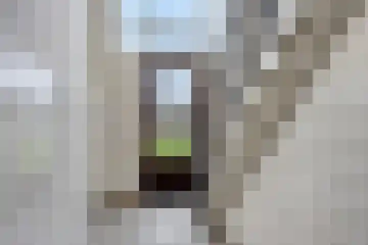 Orchislaan 9 1 Arnhem thumbnail 7