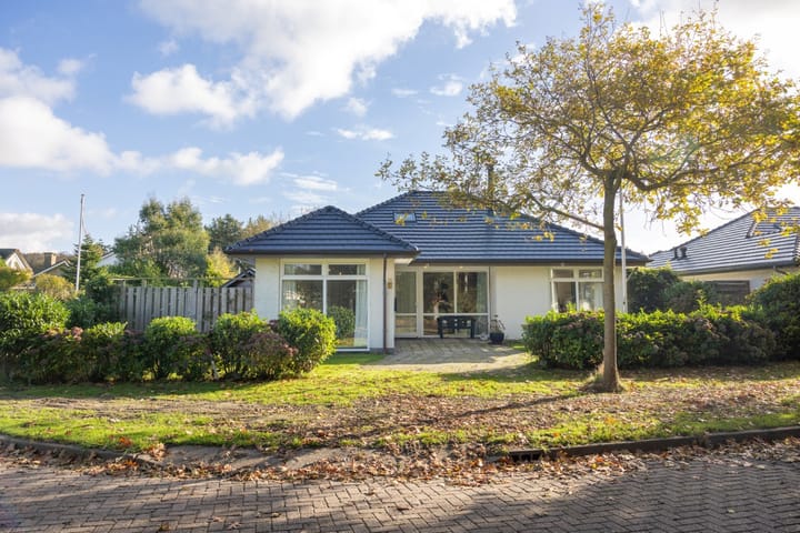 Orchismient 1 in De Koog photo