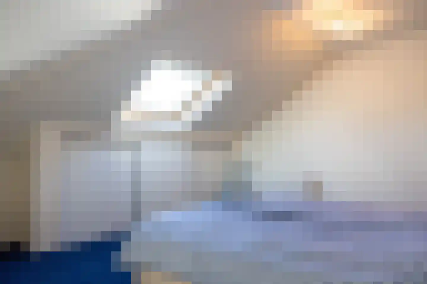 Orchismient 1 De Koog thumbnail 27