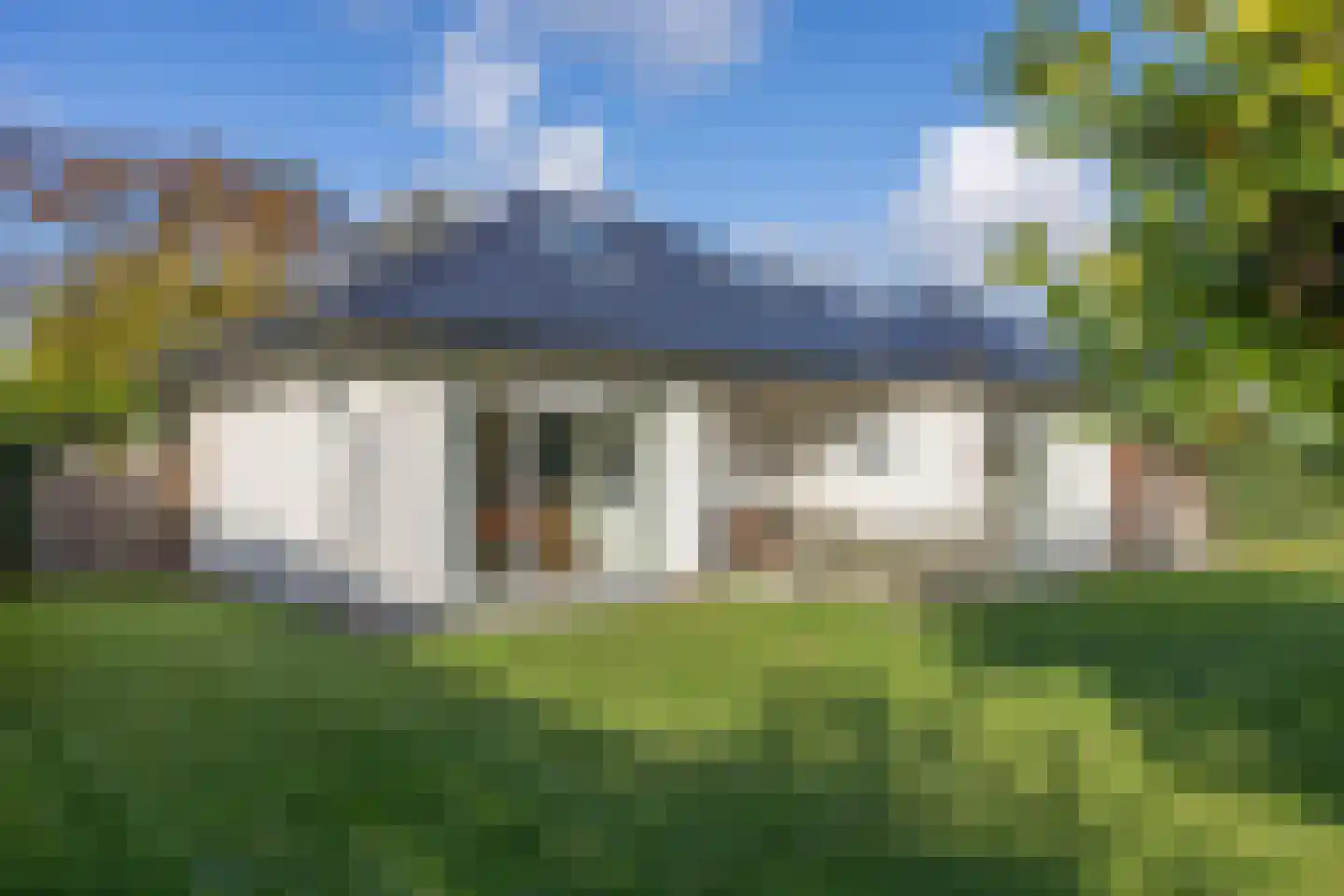 Orchismient 1 De Koog thumbnail 29