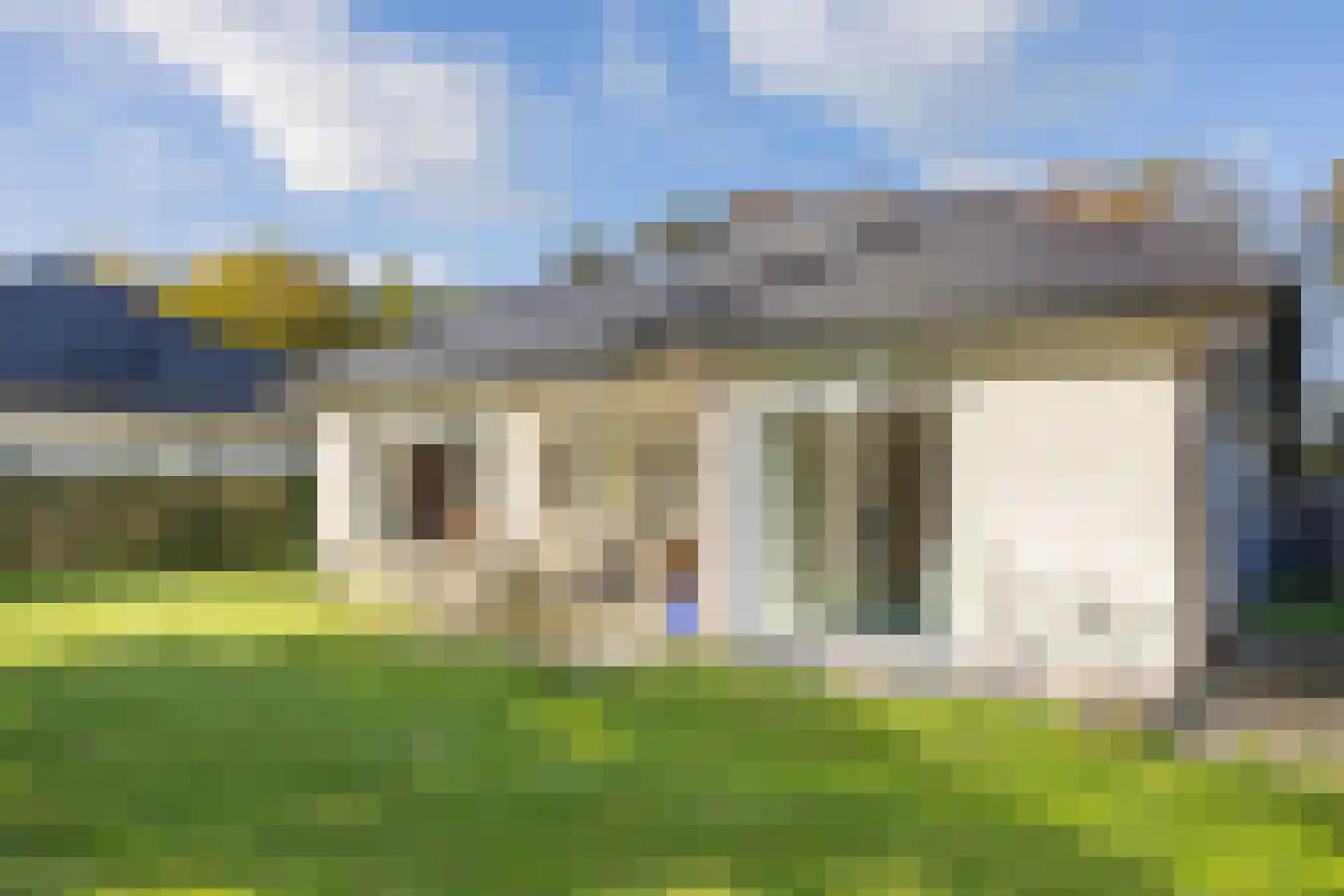 Orchismient 1 De Koog thumbnail 31