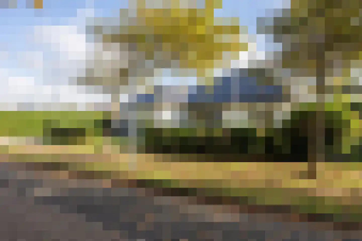 Orchismient 1 De Koog thumbnail 38