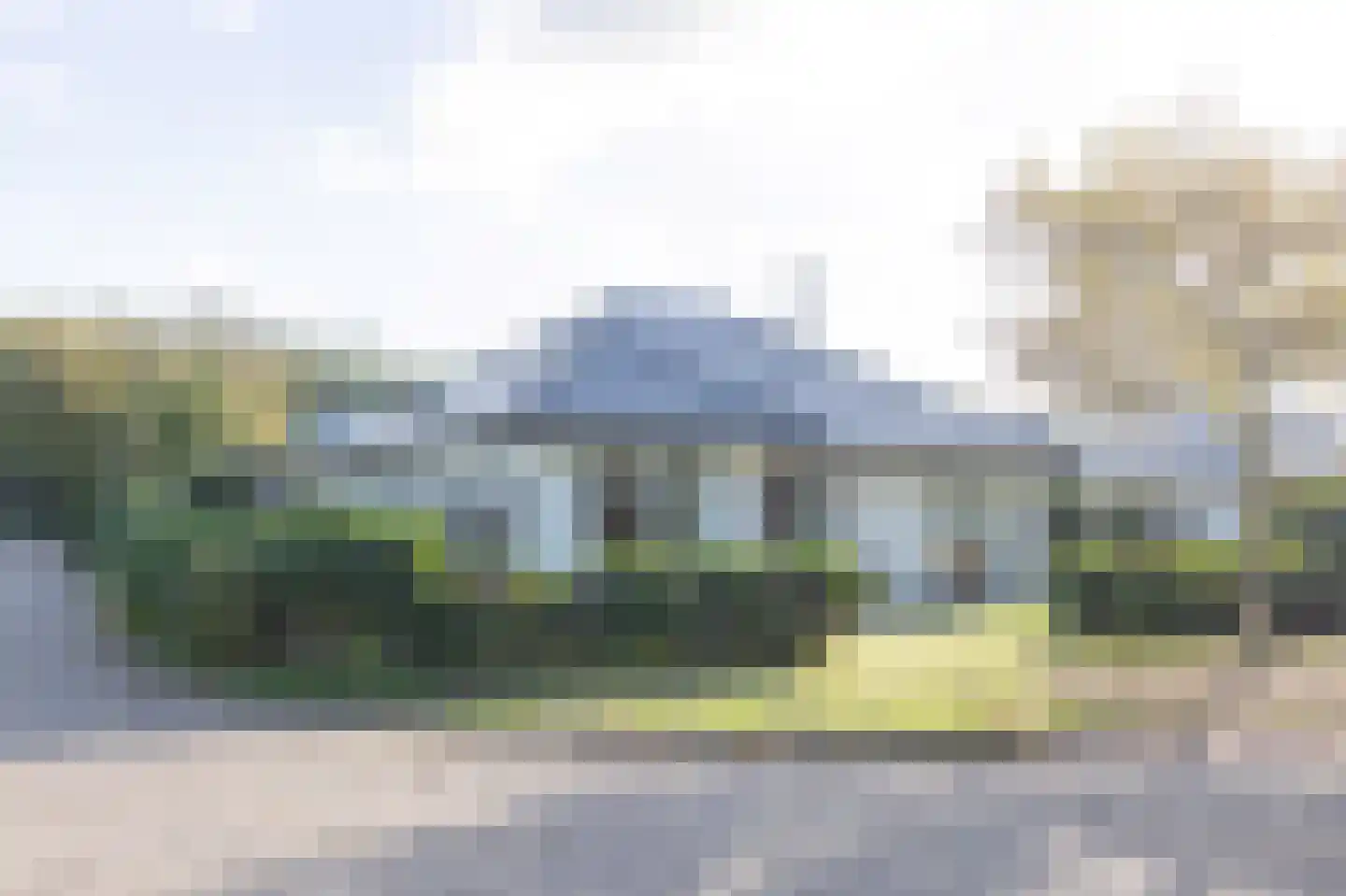 Orchismient 1 De Koog thumbnail 5