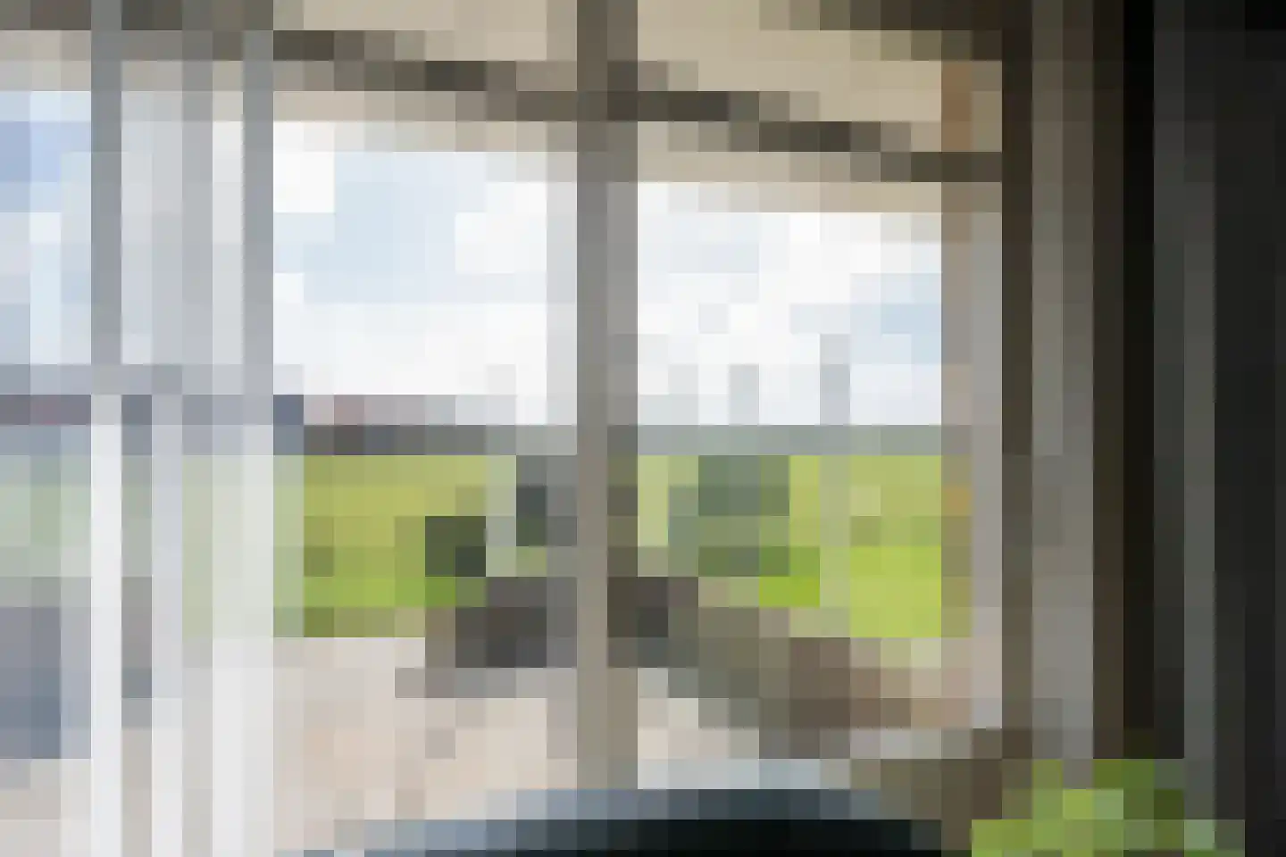Orchismient 11 De Koog thumbnail 12