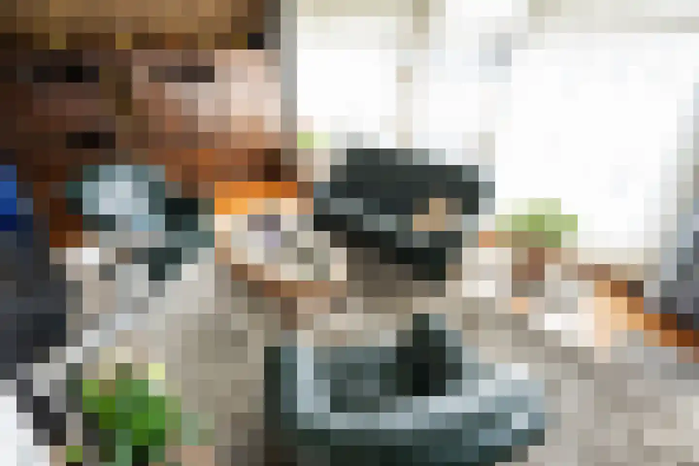 Orchismient 11 De Koog thumbnail 28