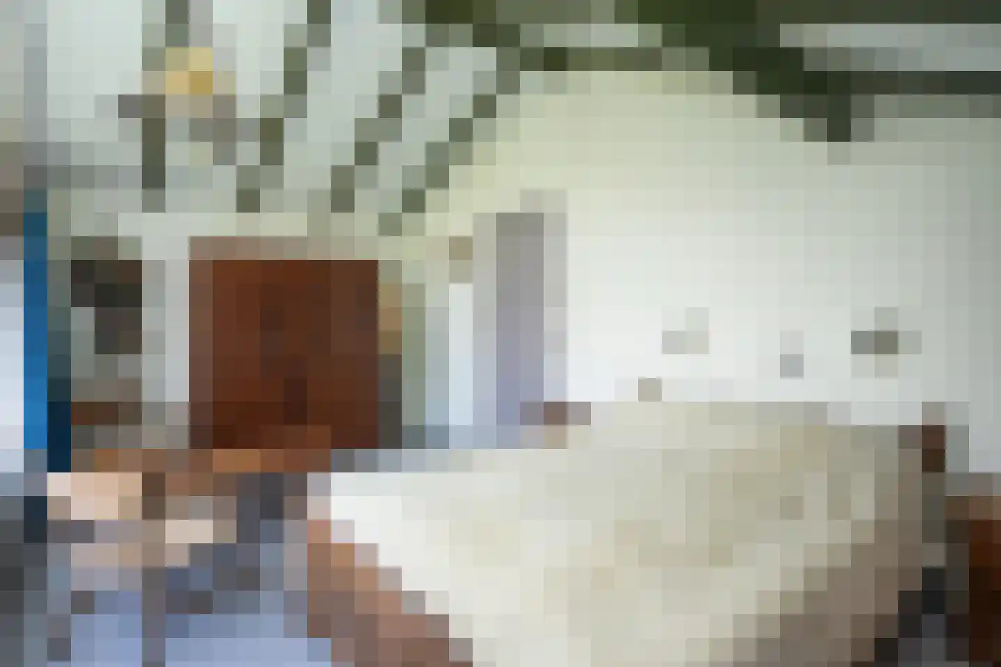 Orchismient 11 De Koog thumbnail 36
