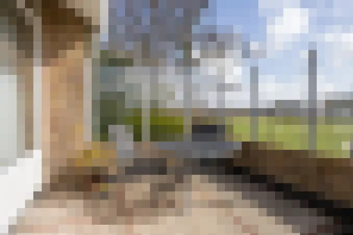 Orchismient 11 De Koog thumbnail 38