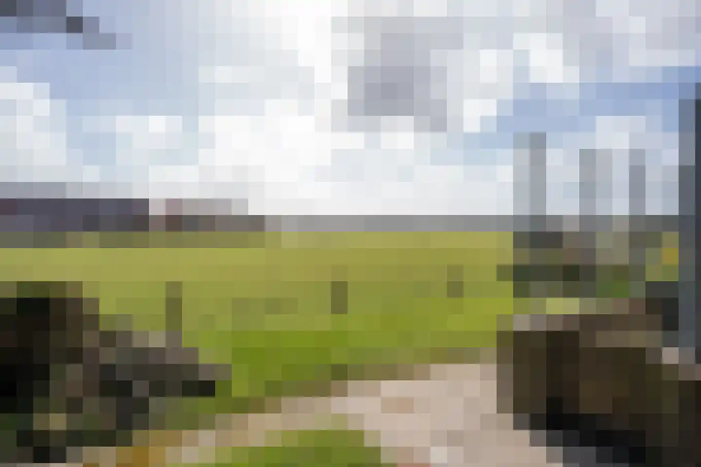 Orchismient 11 De Koog thumbnail 4