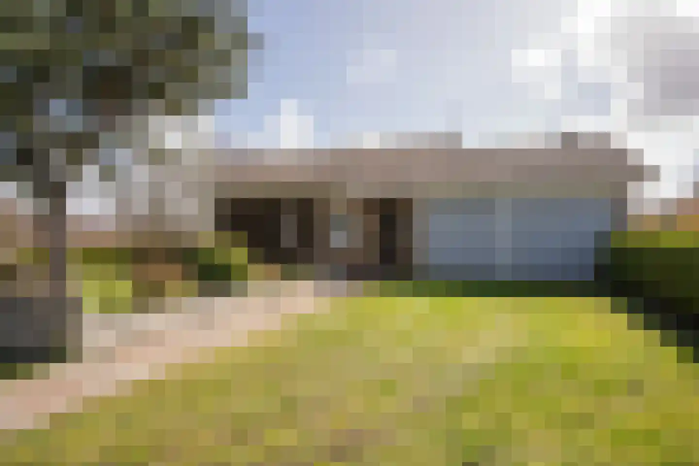 Orchismient 11 De Koog thumbnail 41