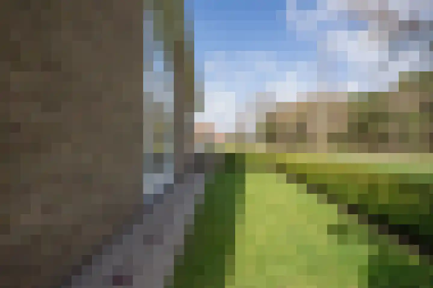 Orchismient 11 De Koog thumbnail 42