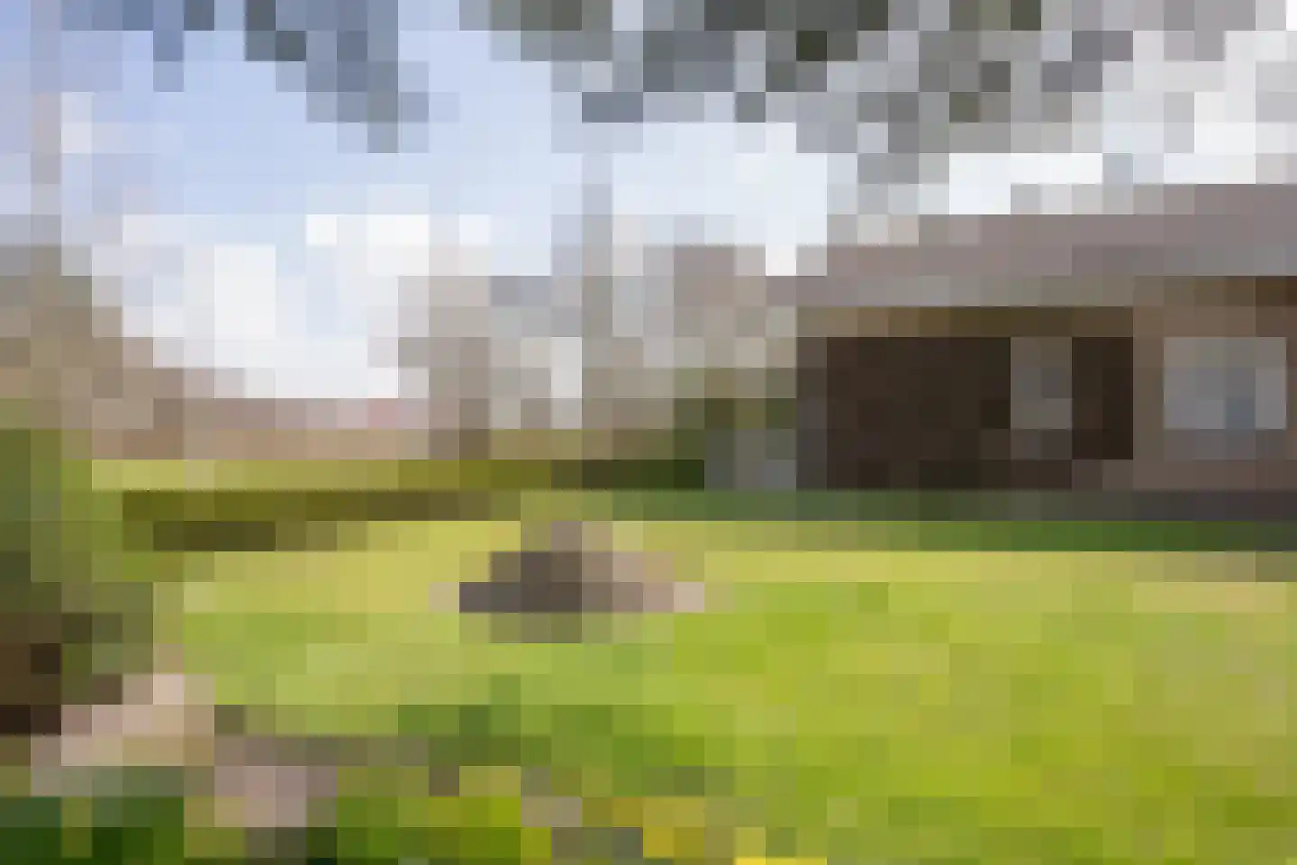 Orchismient 11 De Koog thumbnail 43