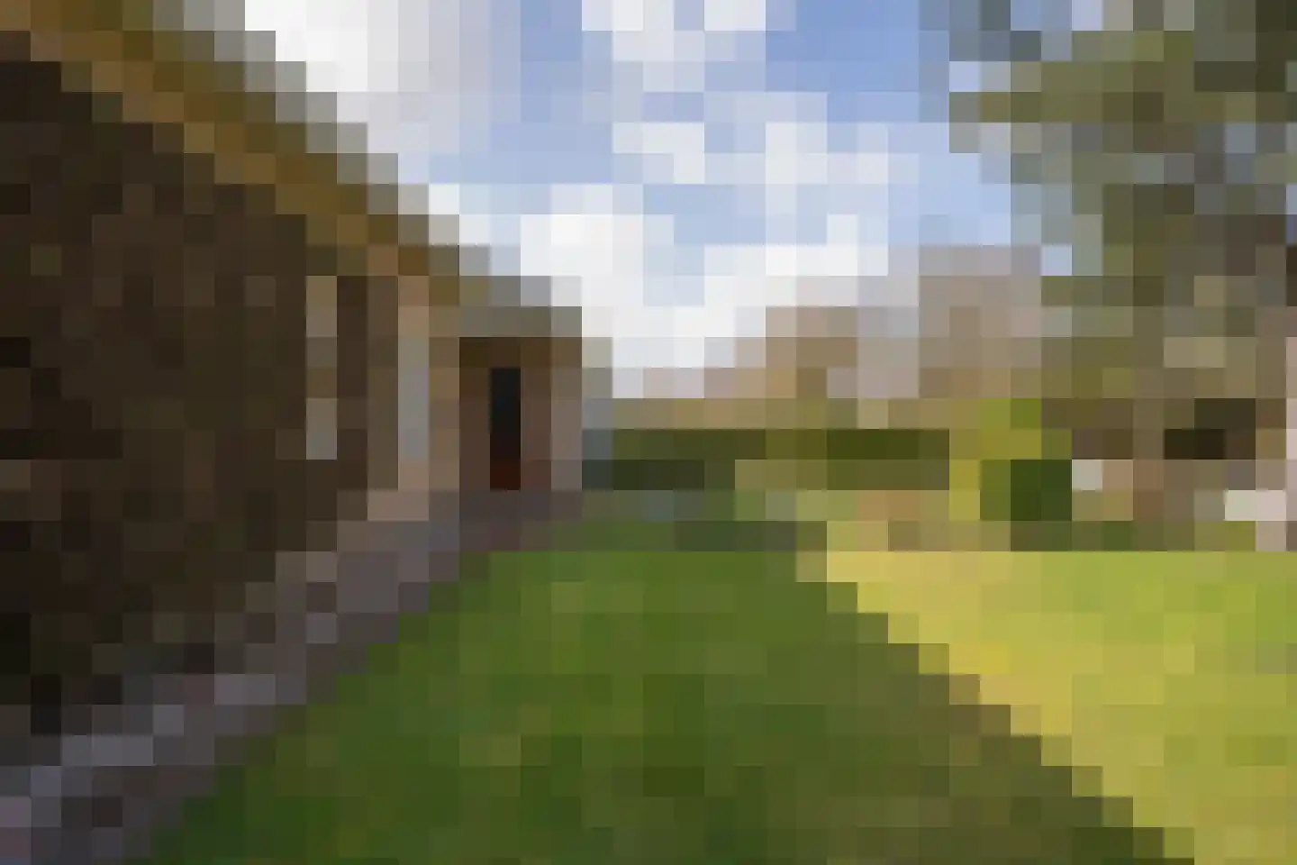 Orchismient 11 De Koog thumbnail 44