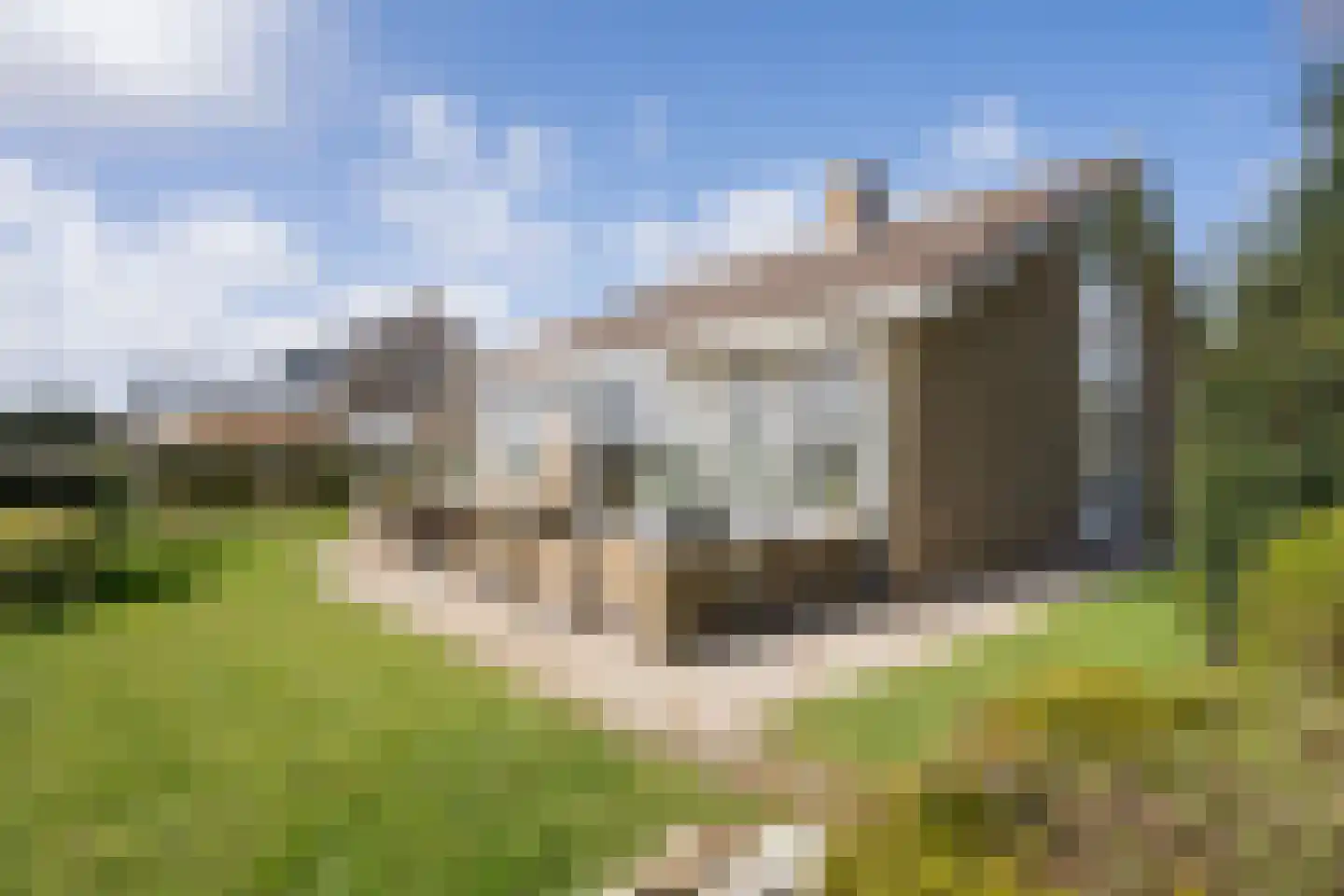 Orchismient 11 De Koog thumbnail 45