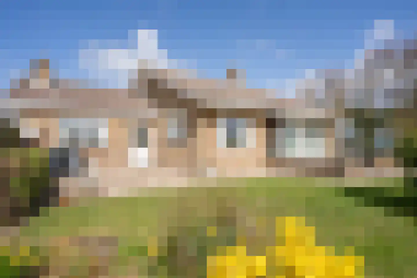 Orchismient 11 De Koog thumbnail 5