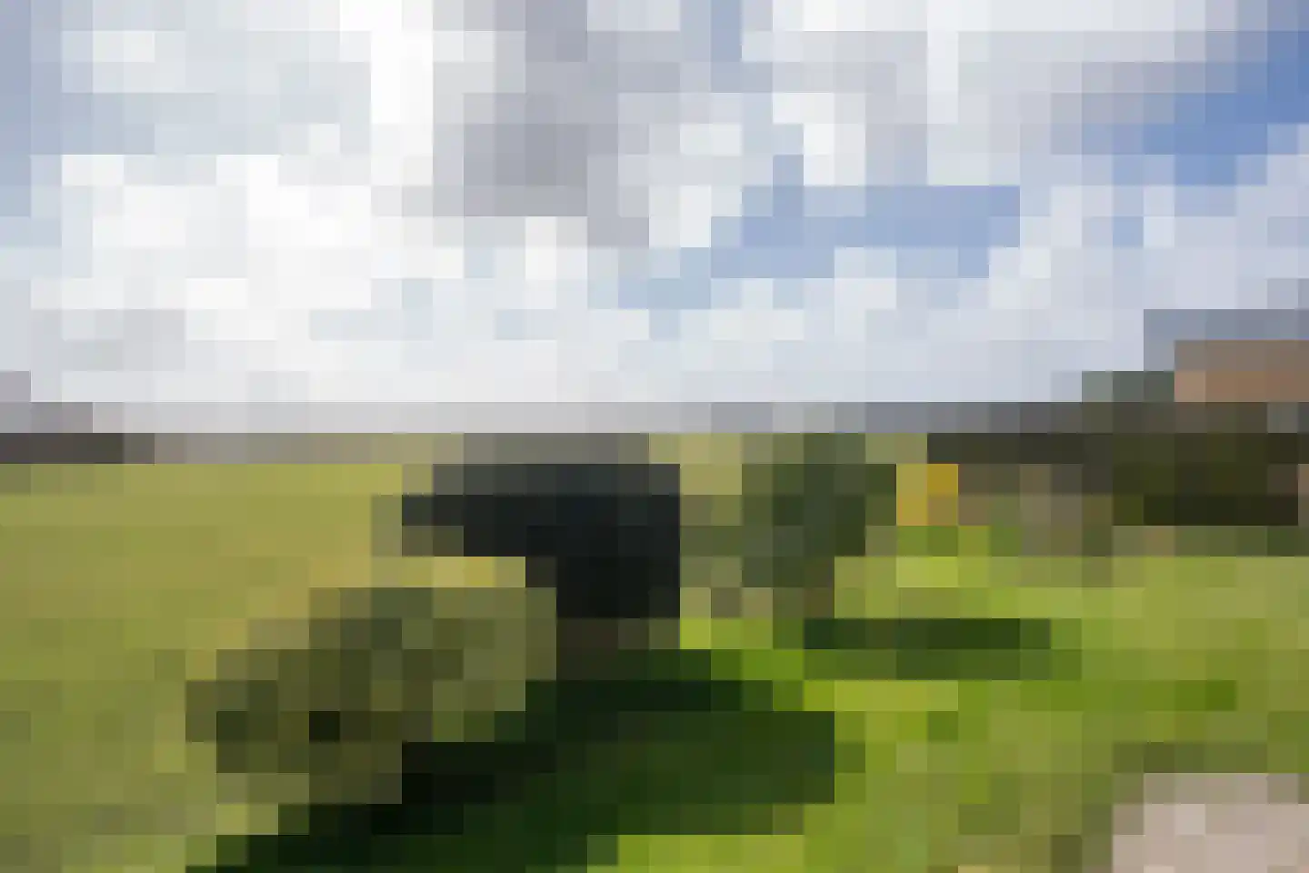 Orchismient 11 De Koog thumbnail 50