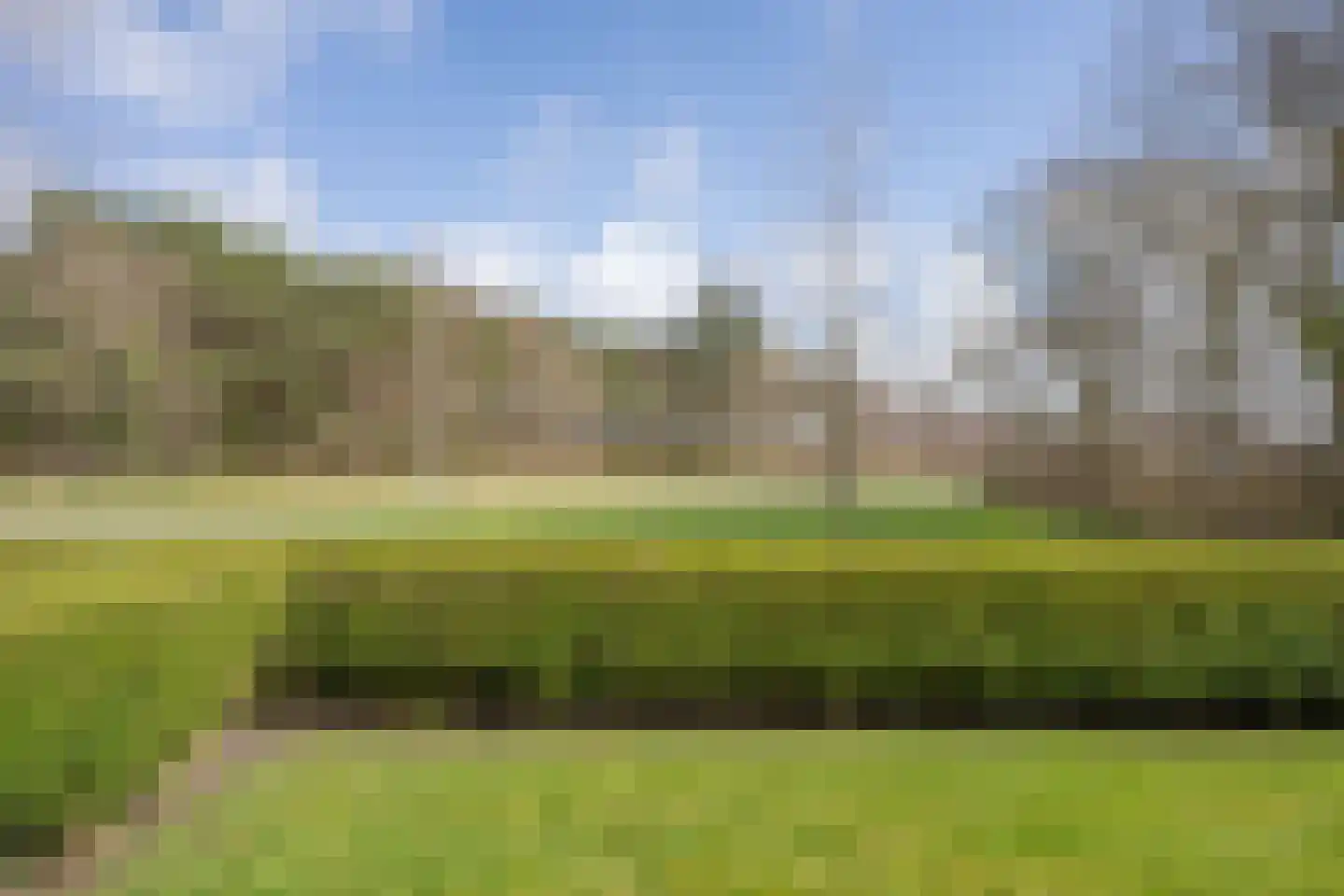 Orchismient 11 De Koog thumbnail 51