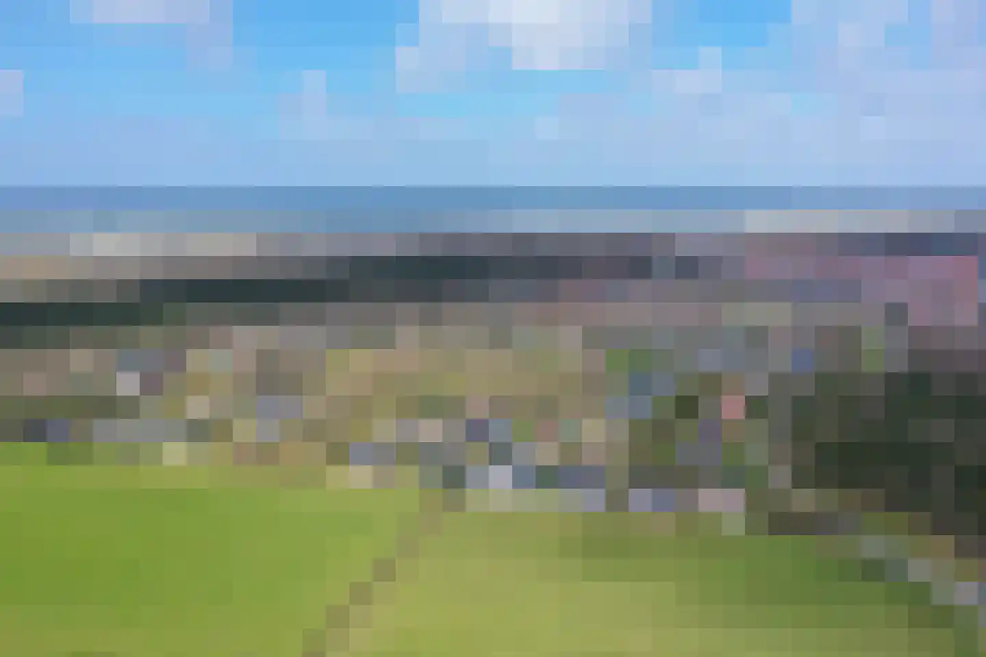 Orchismient 11 De Koog thumbnail 54
