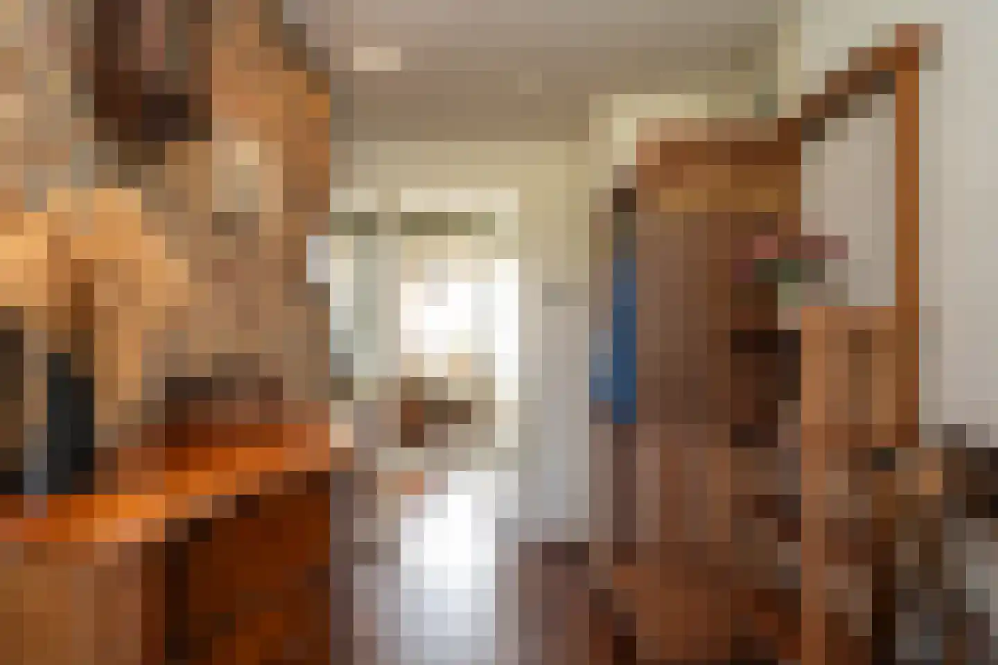 Orchismient 11 De Koog thumbnail 7