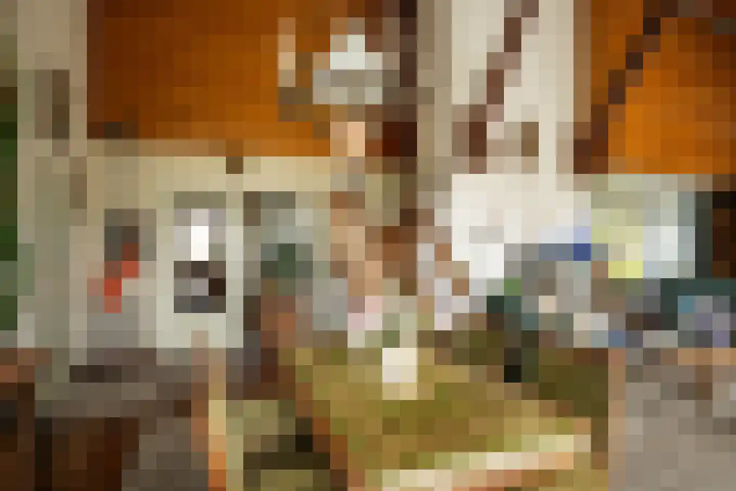 Orchismient 11 De Koog thumbnail 9