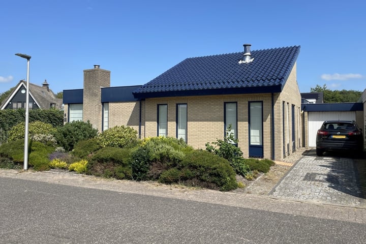 Orchismient 8 in De Koog Foto