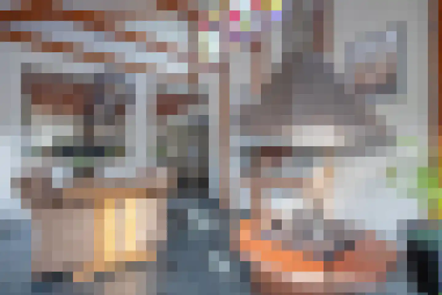 Orchismient 8 De Koog thumbnail 12