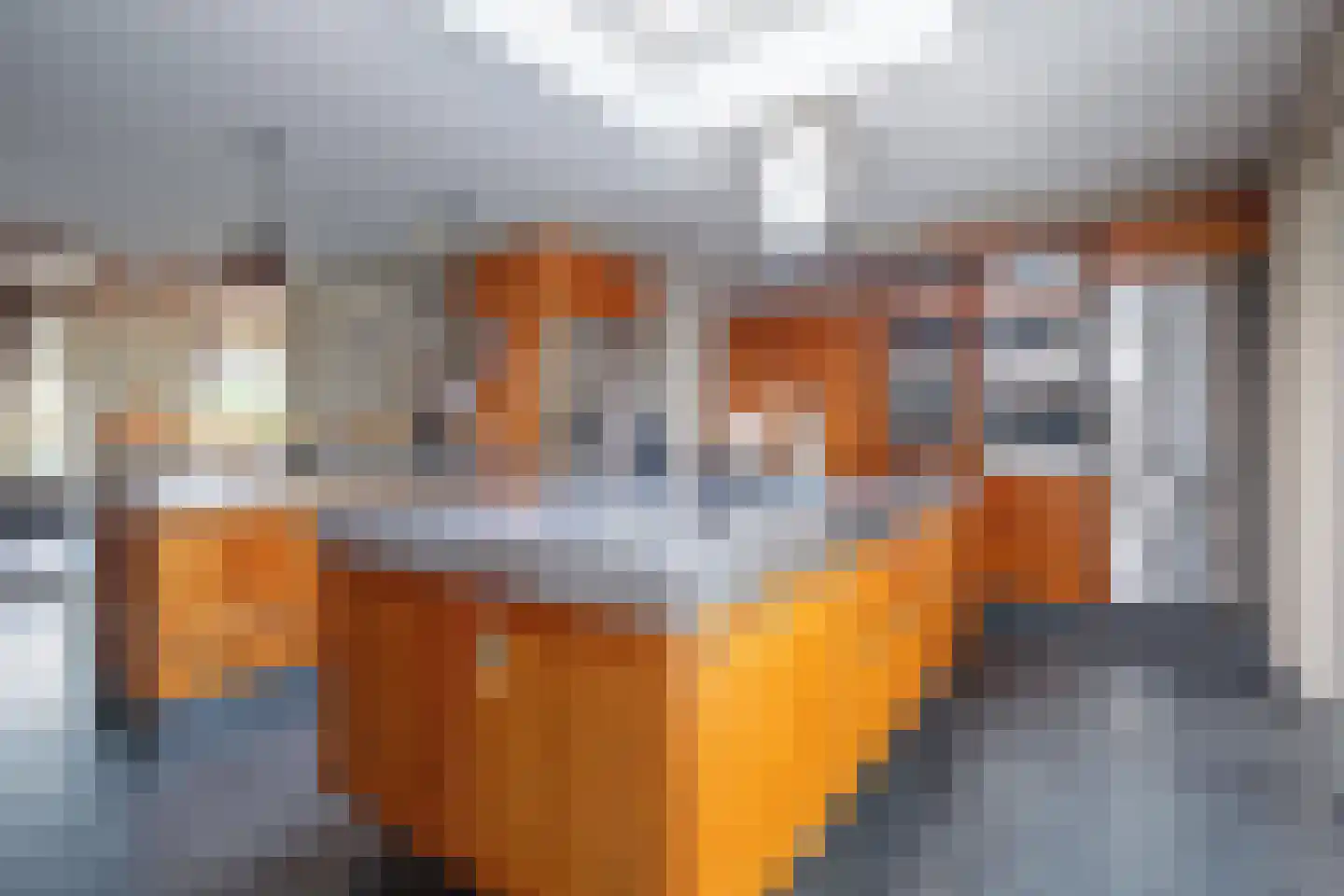 Orchismient 8 De Koog thumbnail 15