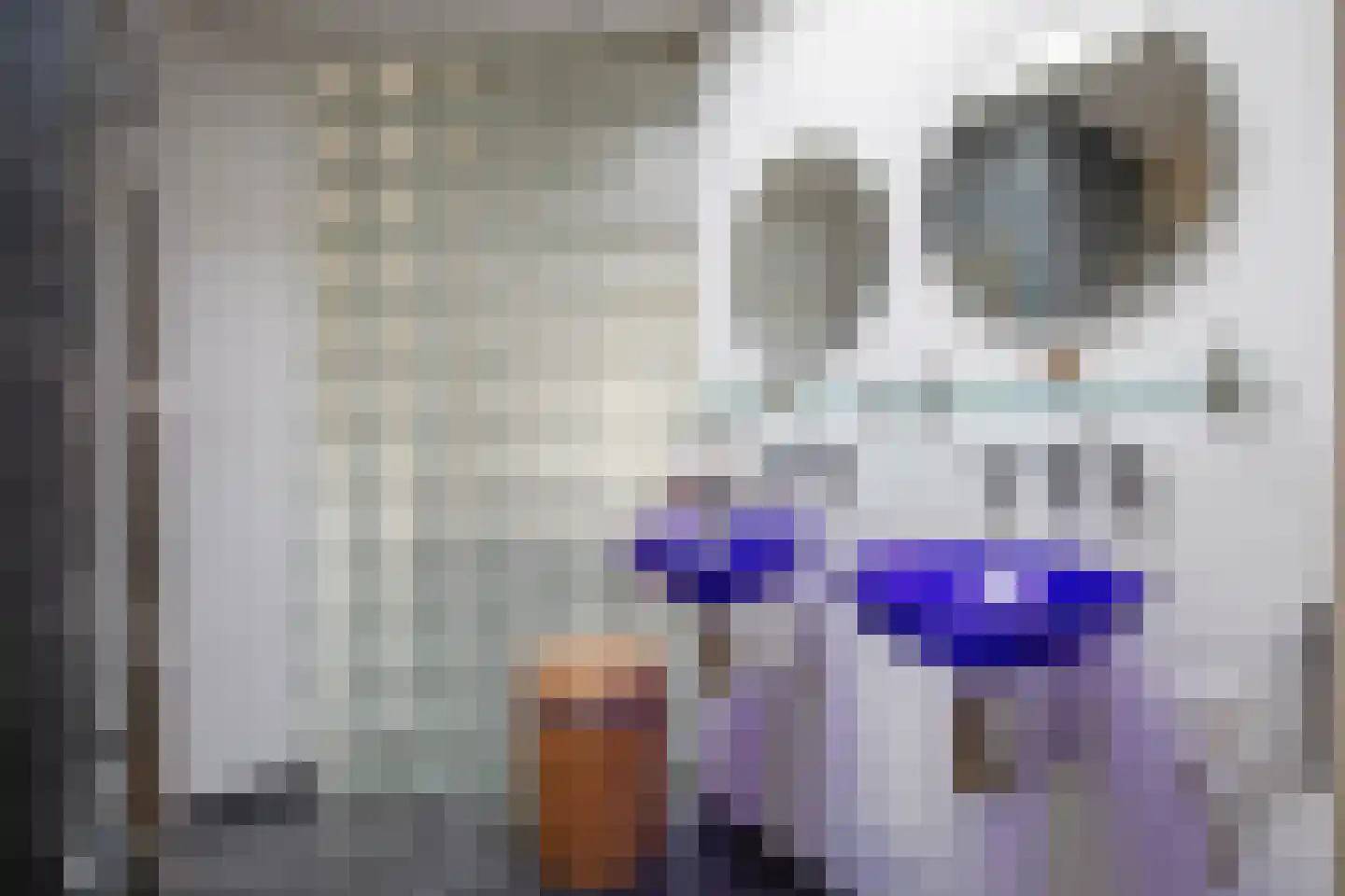 Orchismient 8 De Koog thumbnail 23