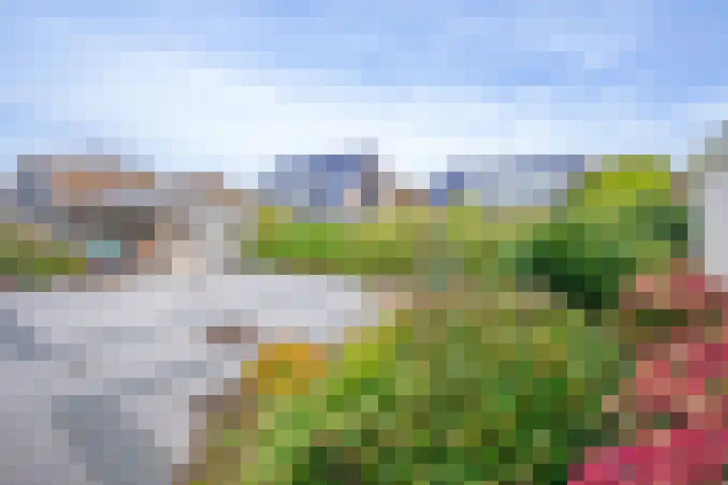 Orchismient 8 De Koog thumbnail 36