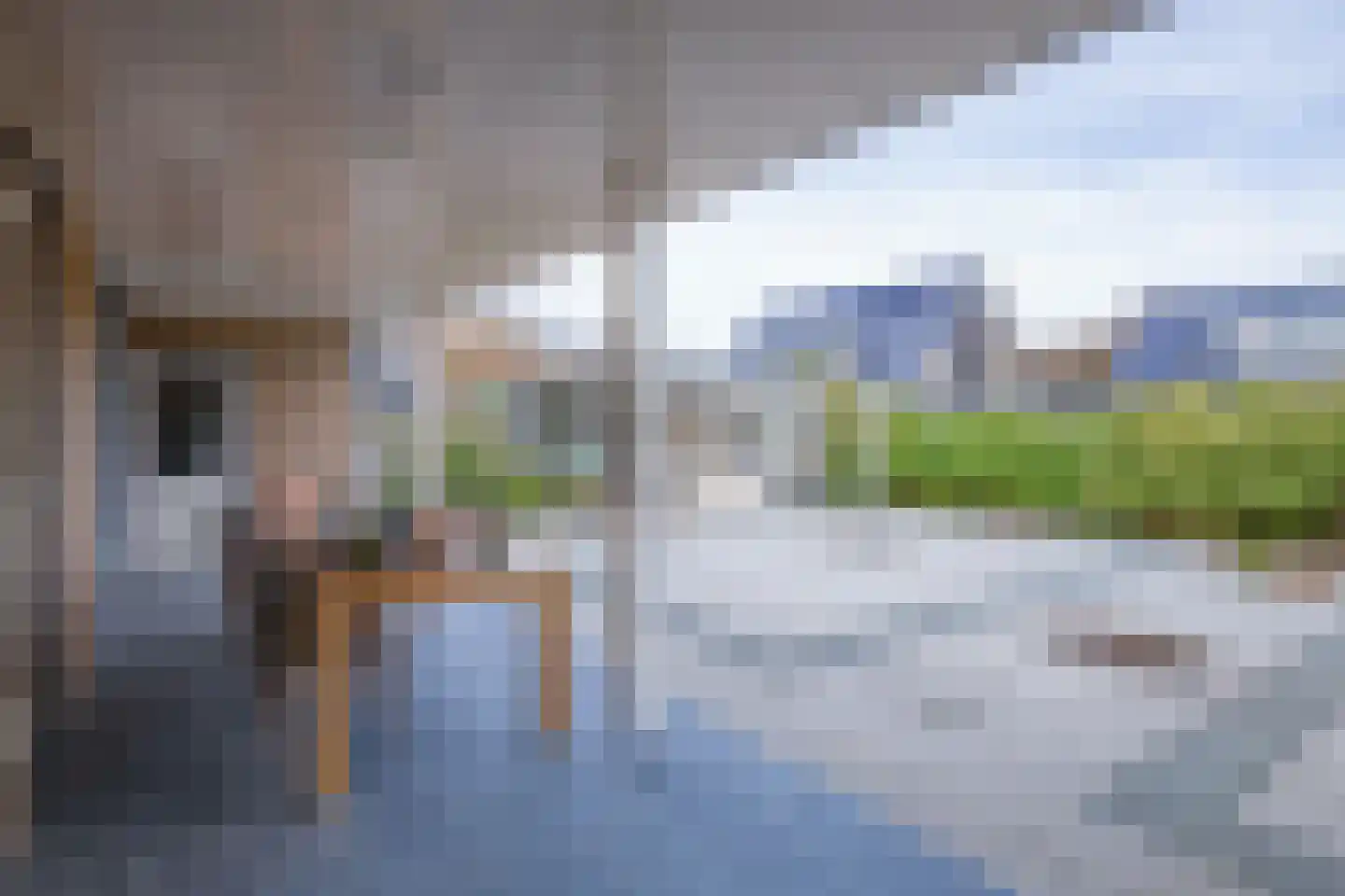 Orchismient 8 De Koog thumbnail 38