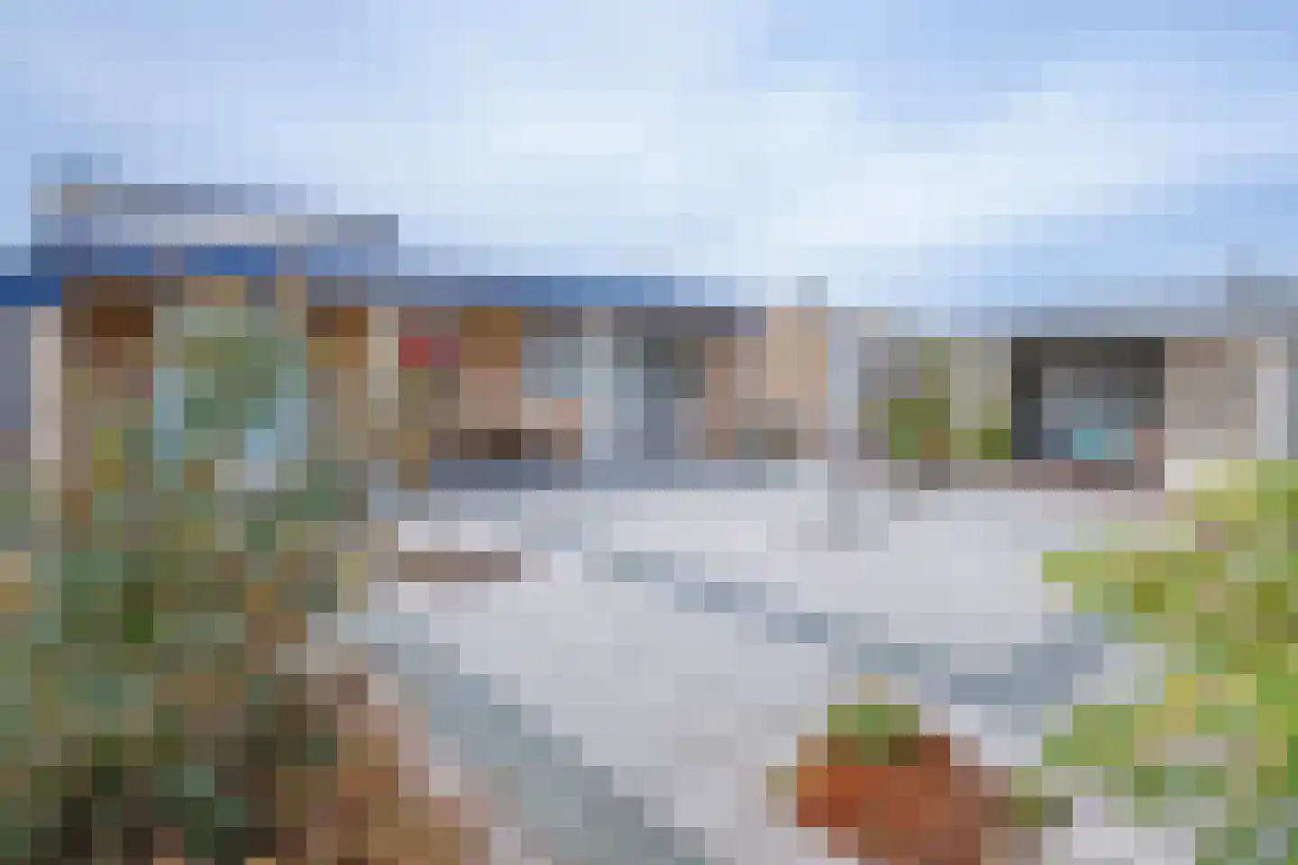Orchismient 8 De Koog thumbnail 39