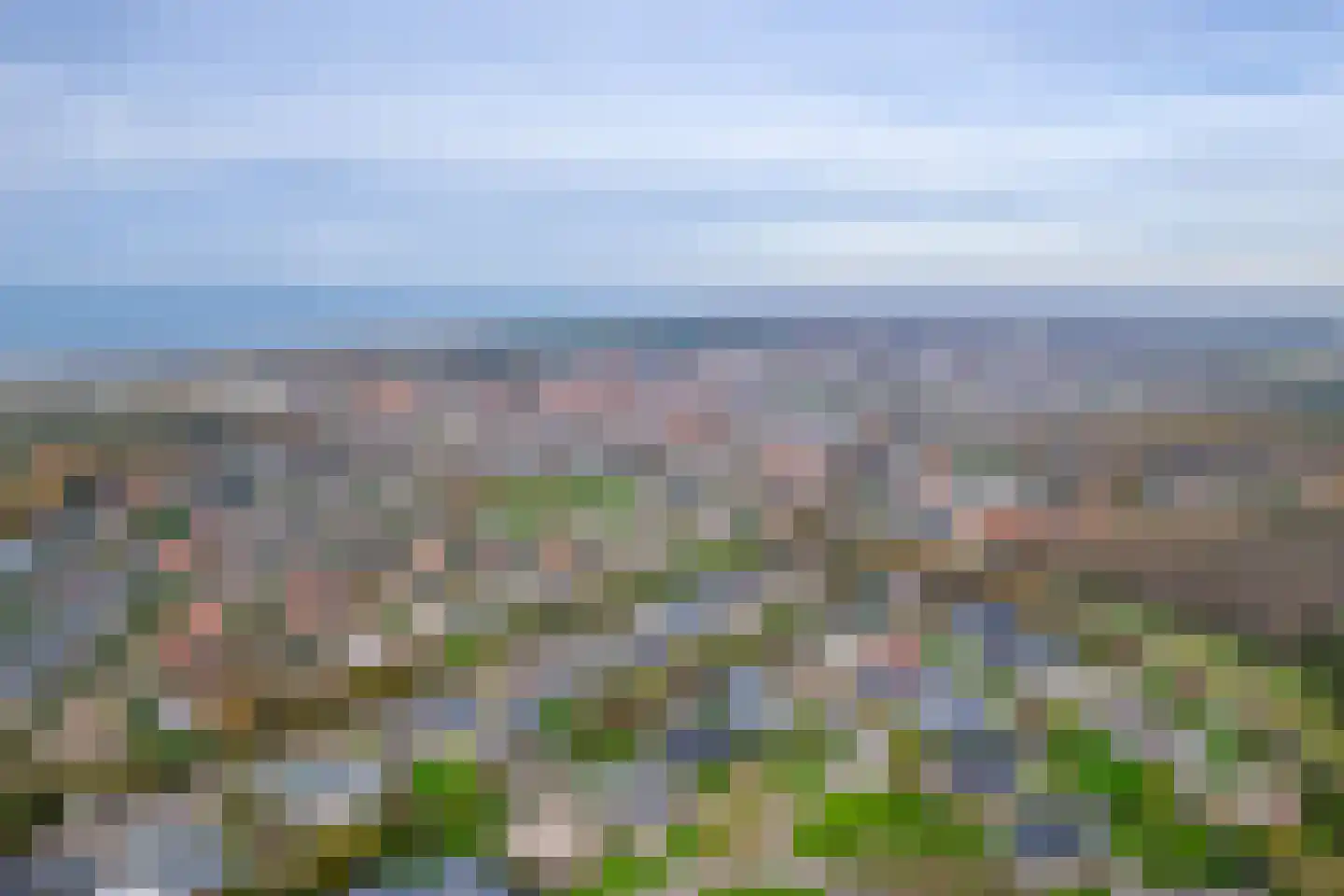 Orchismient 8 De Koog thumbnail 4