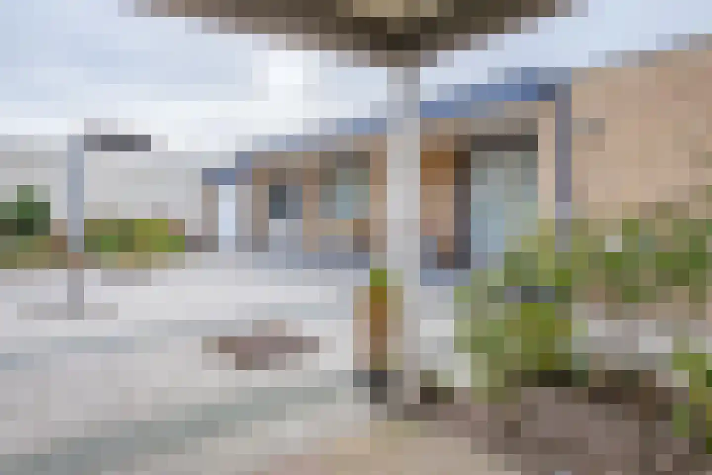 Orchismient 8 De Koog thumbnail 40