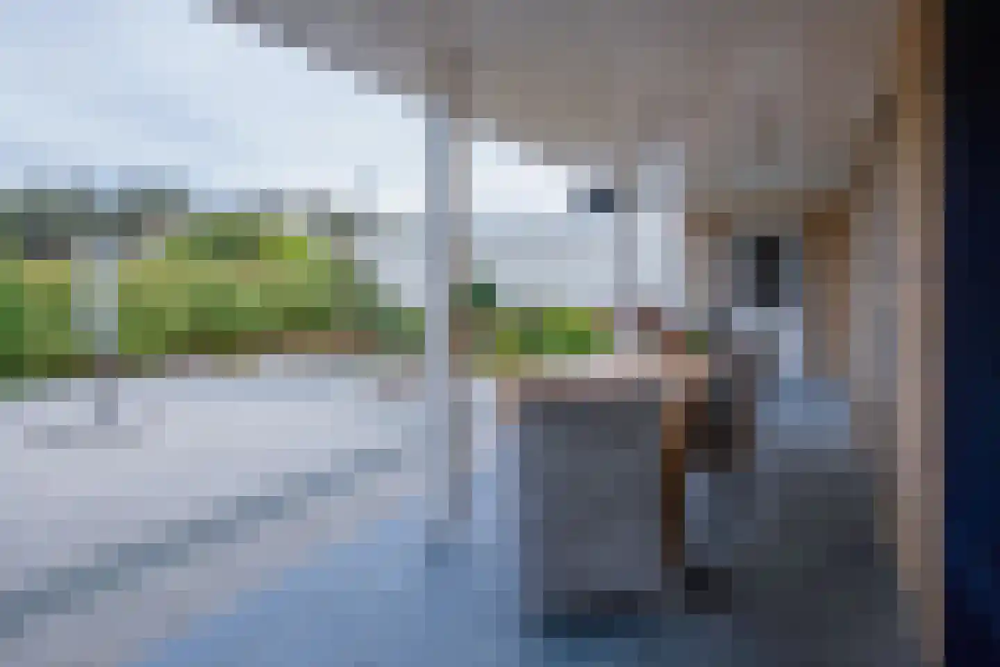 Orchismient 8 De Koog thumbnail 41